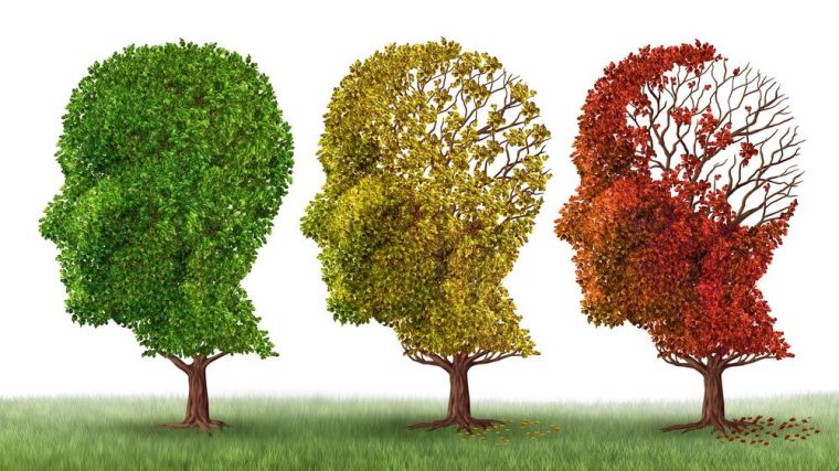 Image shows three trees in the shape of human heads. The first tree has all its leaves around the head, the second tree has lost a few leaves and the third tree has lost most of its leaves. Each tree or head is meant to represent the different stages of Alzheimer's disease.
