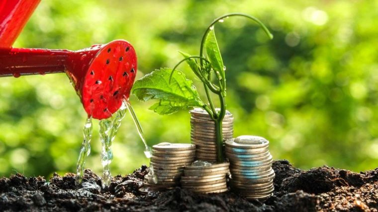 Image shows watering can pouring water over a plant with stacks of coins growing on top of the plant.
