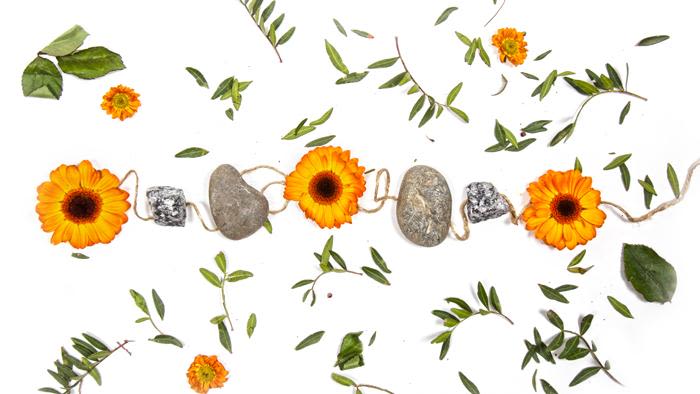 Image shows illustration of Sunflowers, leaves and rocks scattered about.
