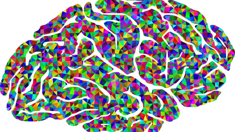 A graphical image of a colourful brain