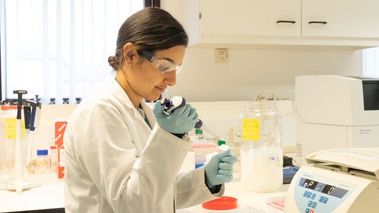 Scientist Noura Al-Juffali  working in the lab at the Department of Psychiatry