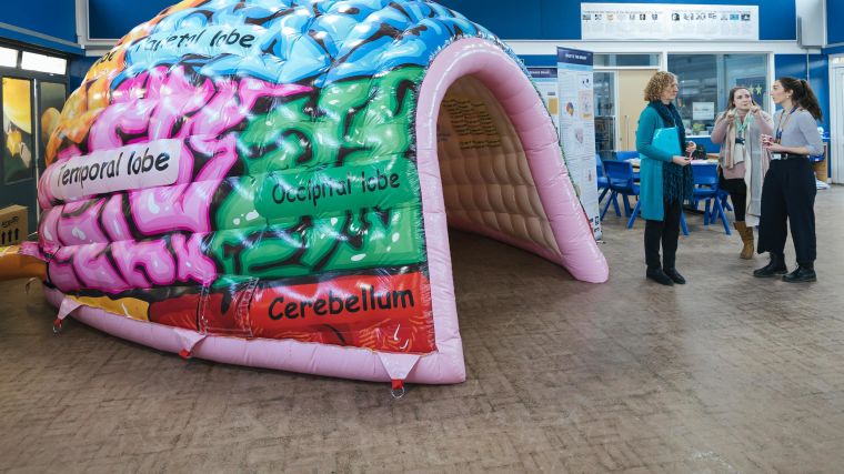 Image shows an inflatable brain for children to go in.