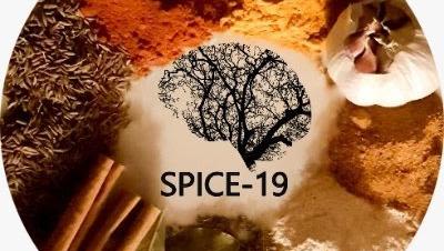 Image shows an array of food spices including garlic, cinnamon, thyme, paprika and turmeric.