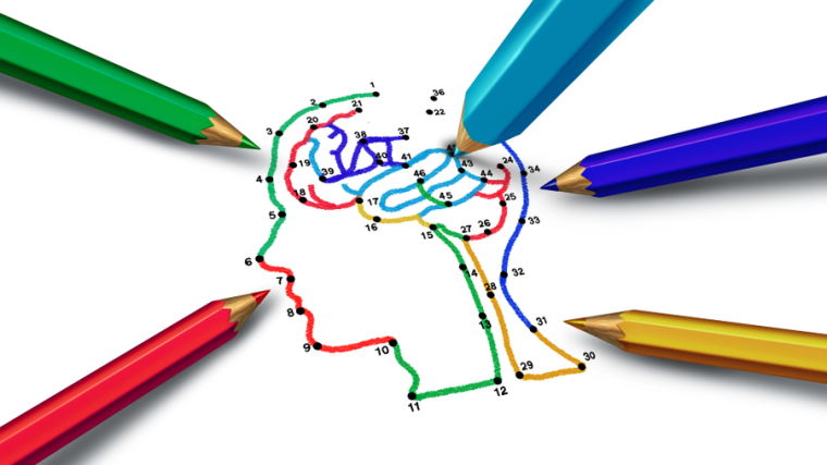 Image shows outline of human head and brain being coloured in with pencils.