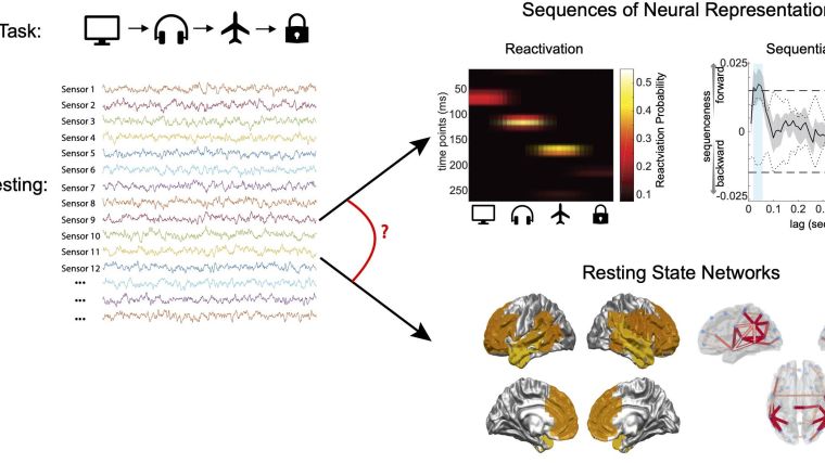 Top left: images describing an online task. Bottom left: offline resting state MEG signals. Right: replay of events and resting state networks.