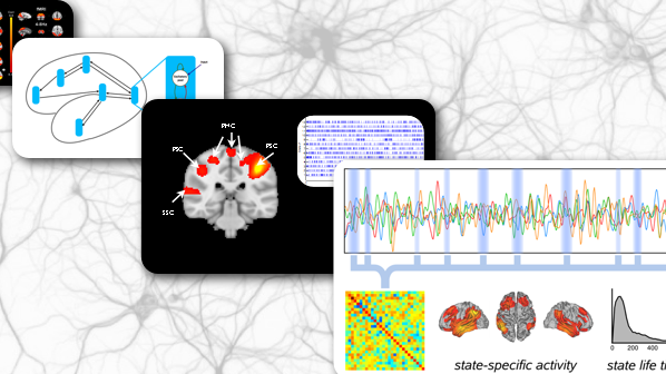 Developing new analysis tools for understanding human brain activity